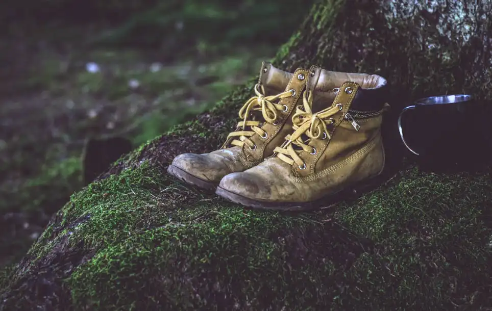boots.webp