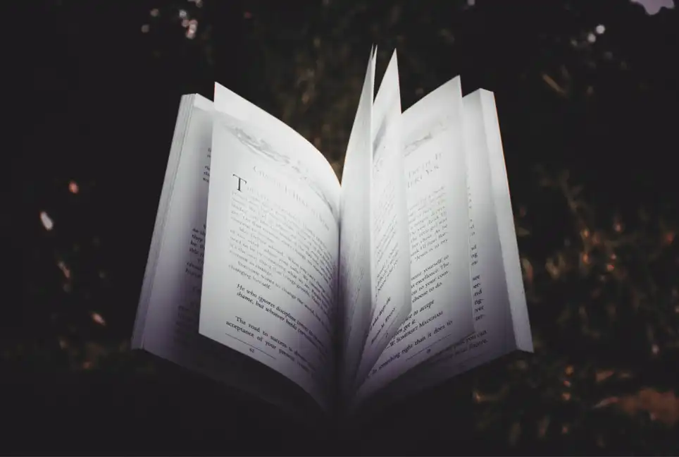 opened book.webp